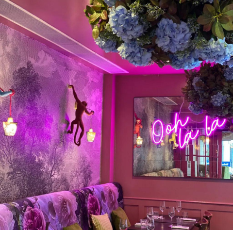 Untitled 480 x 474 px 3