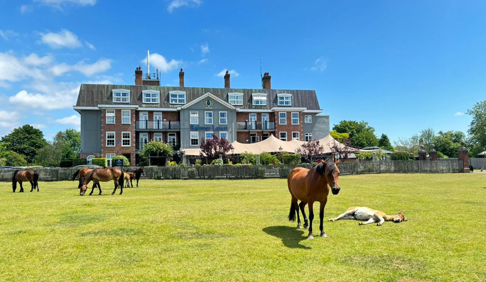 Balmer Lawn Hotel