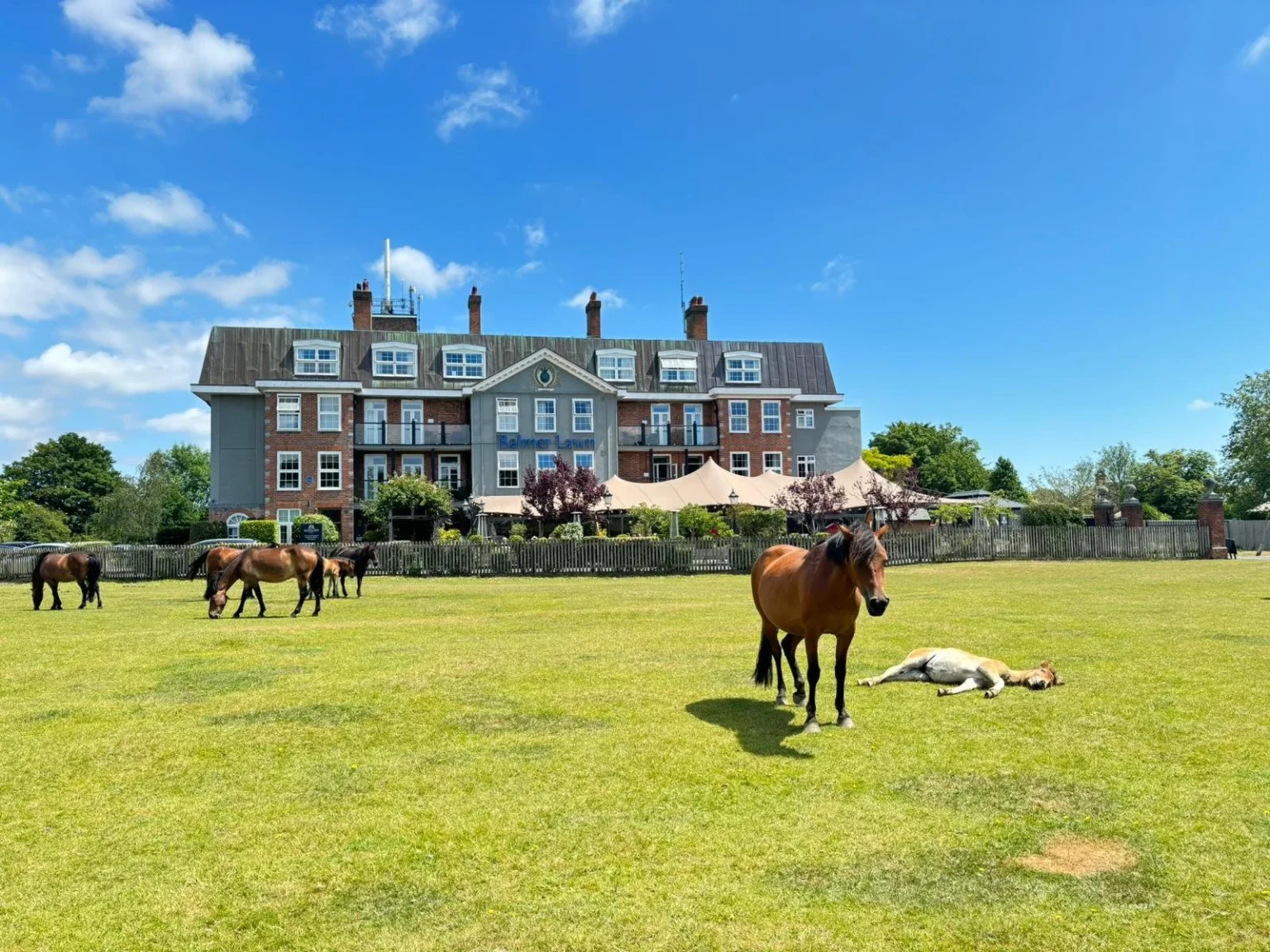 Balmer Lawn Hotel Front View